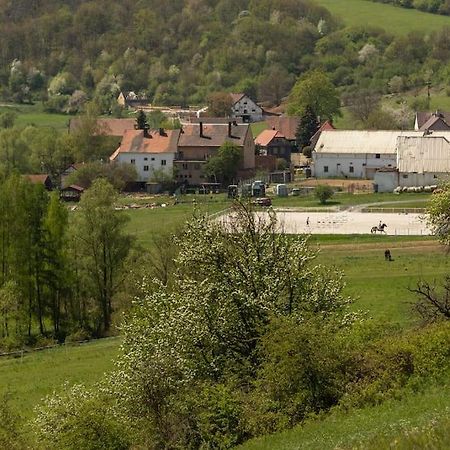 Ubytovani V Apartmanu, 2 Loznice, Na Farme Bzany 外观 照片